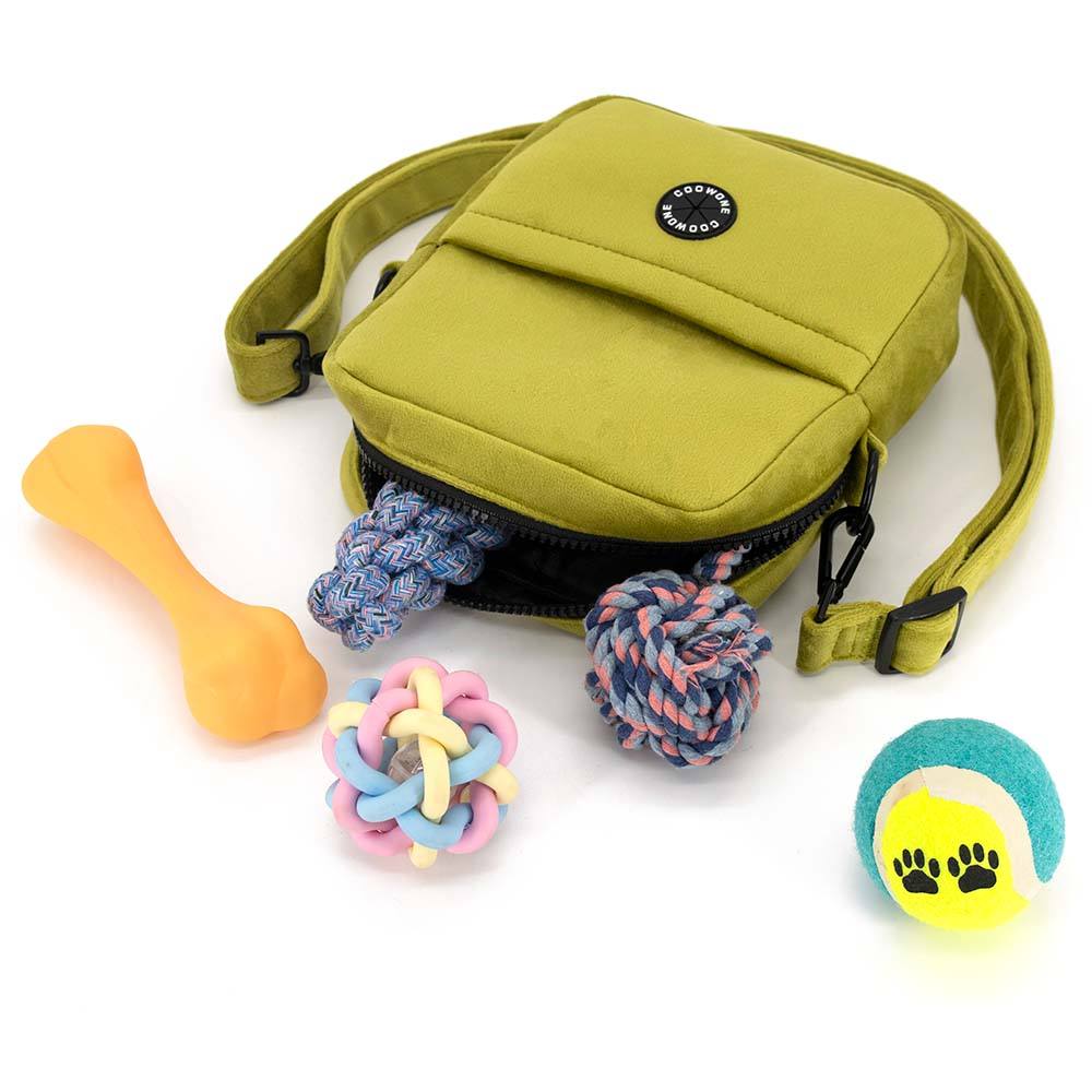 PE009 Luxury Dog Shoulder Walkie Bags