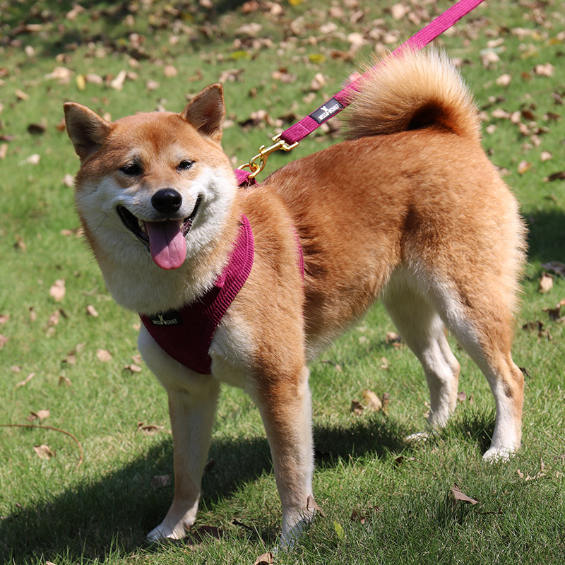 PE016 Durable Dog Harness